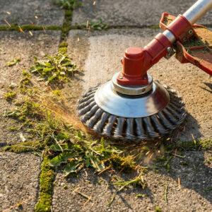 Alternative view of GRASSBITE® - NAVŽDY ODSTRAŇTE BURINU