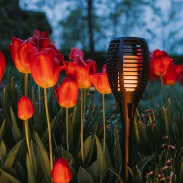 SOLAREOS® Solárne LED svietidlo: 1+1 ZDARMA